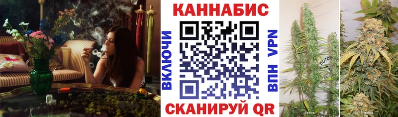 Марихуана Amnesia  Купить где  Трубчевск 